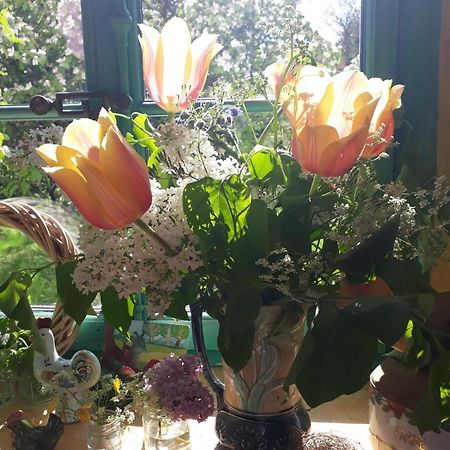 Bed and Breakfast Chez Cathy Arzier Exterior foto