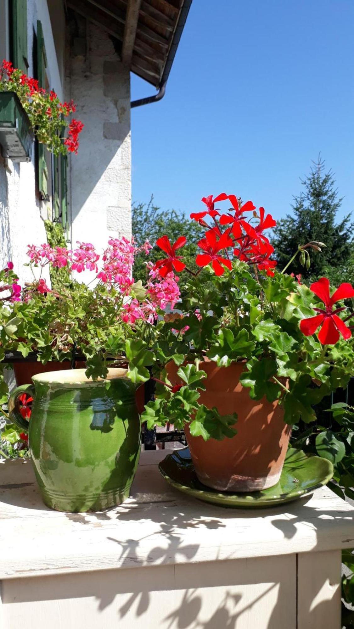 Bed and Breakfast Chez Cathy Arzier Exterior foto